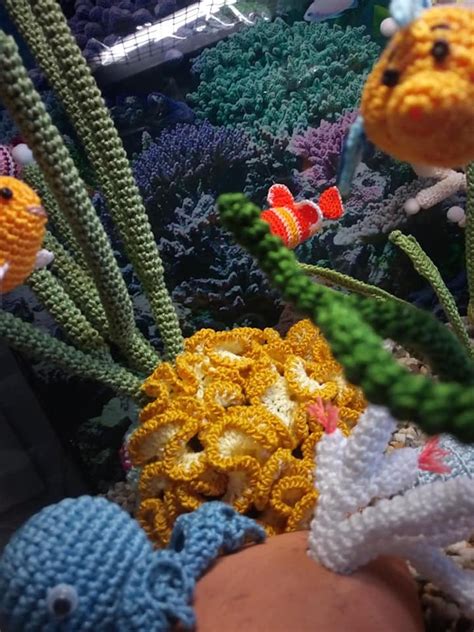 Explore the Wonders of a Crocheted Ocean Voyage
